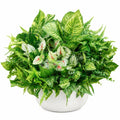 Jardinière de Plantes Artificielles Luxuriantes en Pot Céramique Blanc