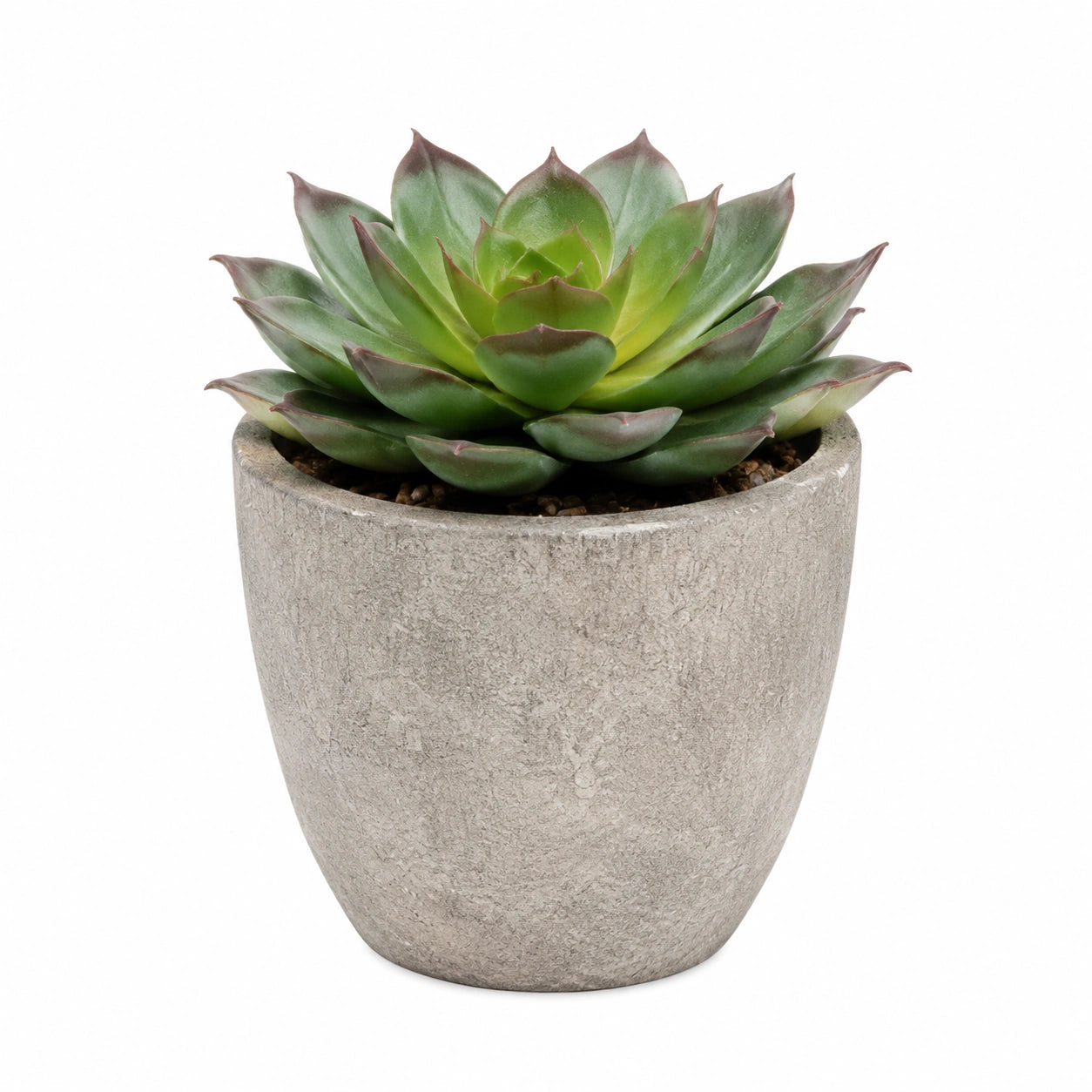 Plante Succulente Artificielle en Pot Béton Gris