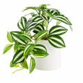 Plante Artificielle Luxuriante avec Pot Blanc